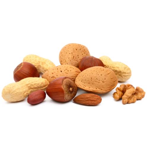Automated nut processing systems featuring advanced sorting, cleaning, and handling technologies for efficient and hygienic nut production.