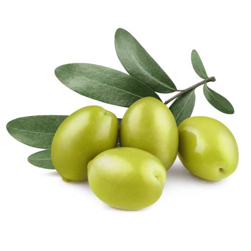 Olive processing systems designed with advanced cleaning, sorting, and extraction technologies to ensure efficient and high-quality olive production.