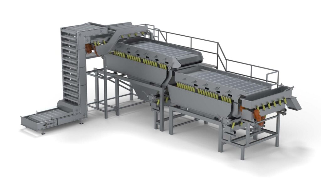 Efficient raisin processing with advanced conveyor and sorting technology.