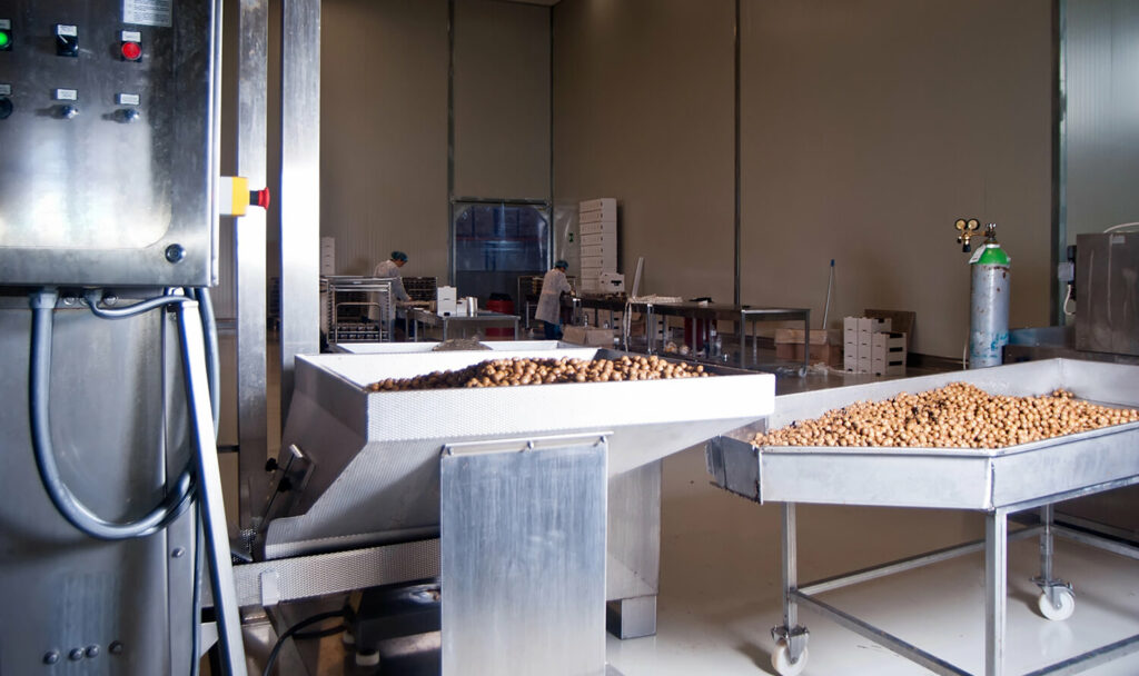 Advanced raisin processing system with automated sorting and conveyor technology.
