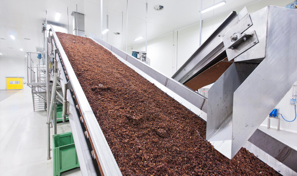 High-capacity raisin processing system with automated conveyors and sorting equipment.