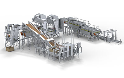 Industrial food processing lines with automated conveyors and sorting equipment.