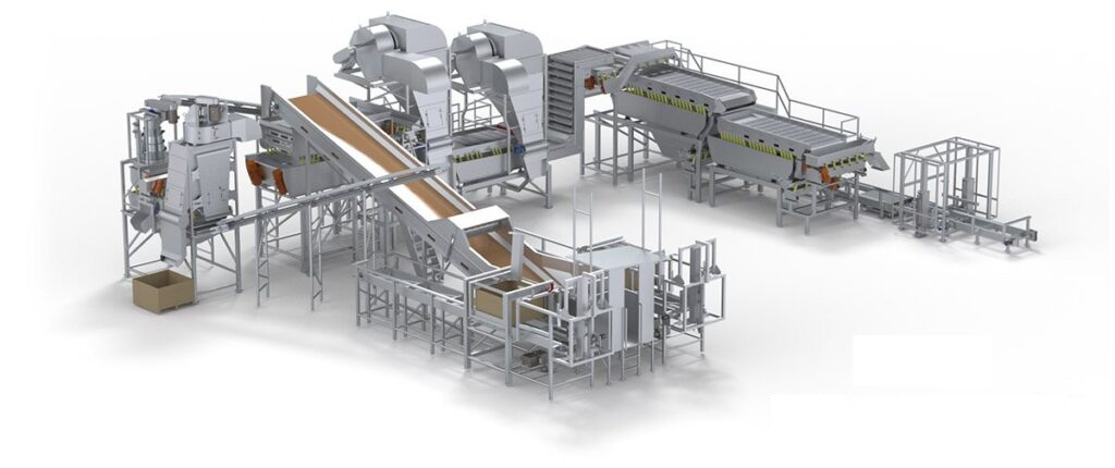 Isometric diagram of an automated raisin processing system with conveyor lines and sorting stations.