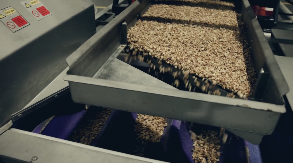 Nut processing system designed to enhance quality, featuring advanced sorting, cleaning, and handling technologies for superior food production standards.