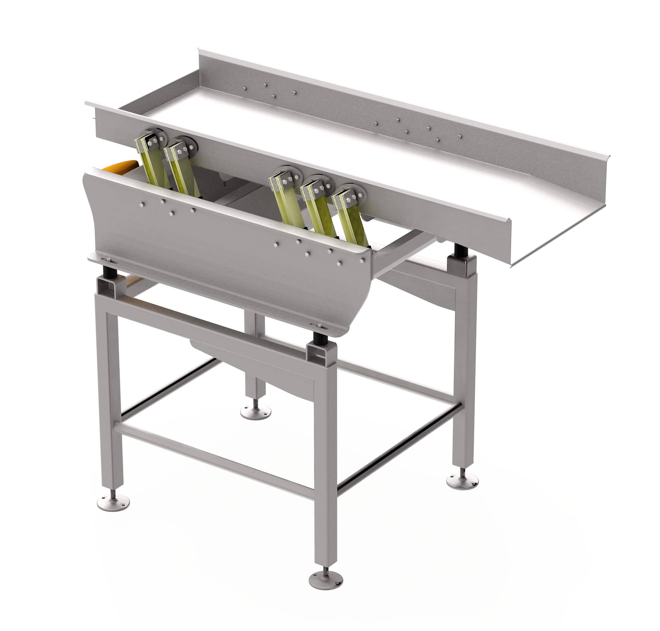 GWI's optical sorting in-feed system efficiently processes food products.