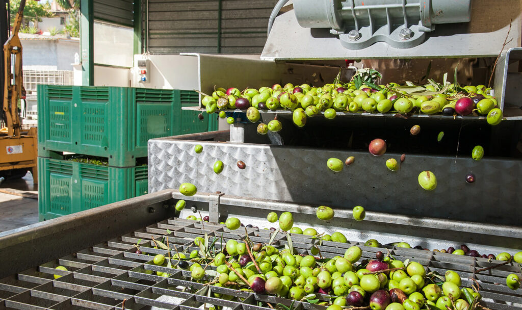 Advanced mixing system with automated conveyors and precision blending technology.