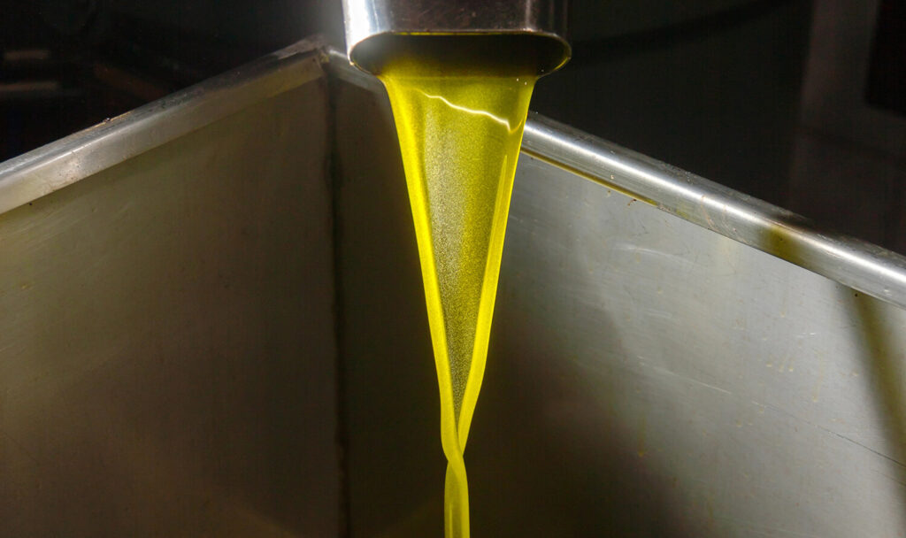 Automated olive oil extraction system with processing equipment and conveyors.
