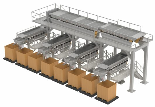 Food product sizing systems designed for precise measurement and sorting of food items, ensuring consistency and efficiency in food processing applications.