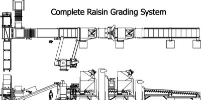 Complete-Raisin-Grading-1-1