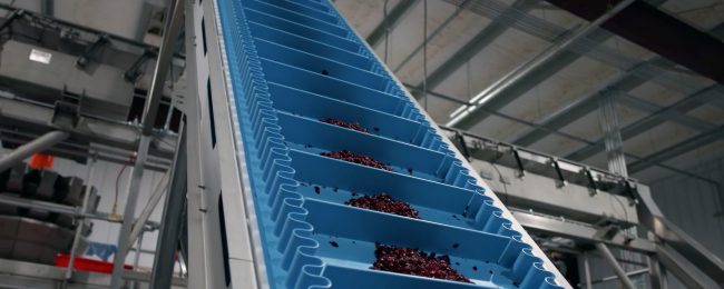 Agricultural product conveyor system for moving crops, ingredients, and bulk materials through processing lines