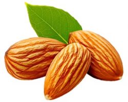 Almonds for almond processing systems